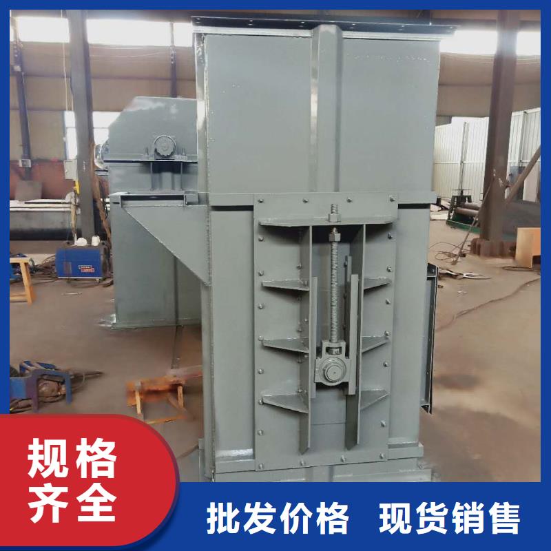 NE30板鏈斗式機(jī)廠家