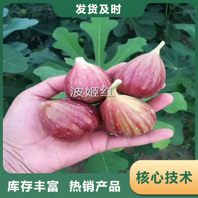 無花果,板栗樹使用方法