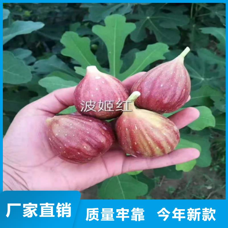 無花果,板栗樹使用方法