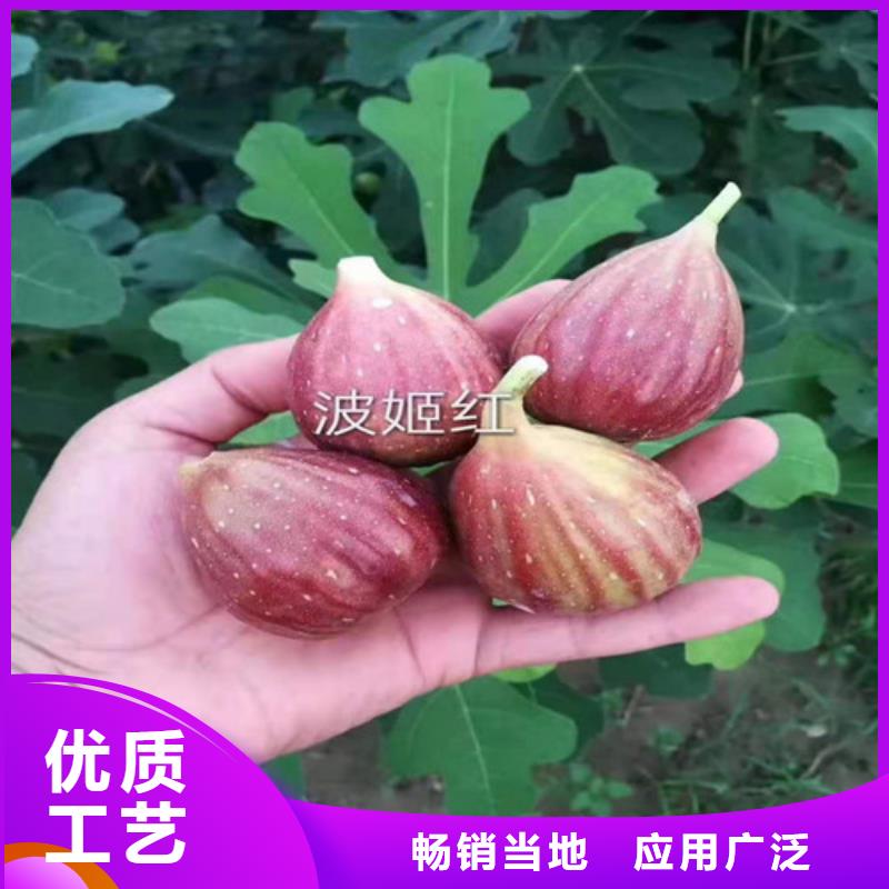 無花果紅富士苗安裝簡(jiǎn)單