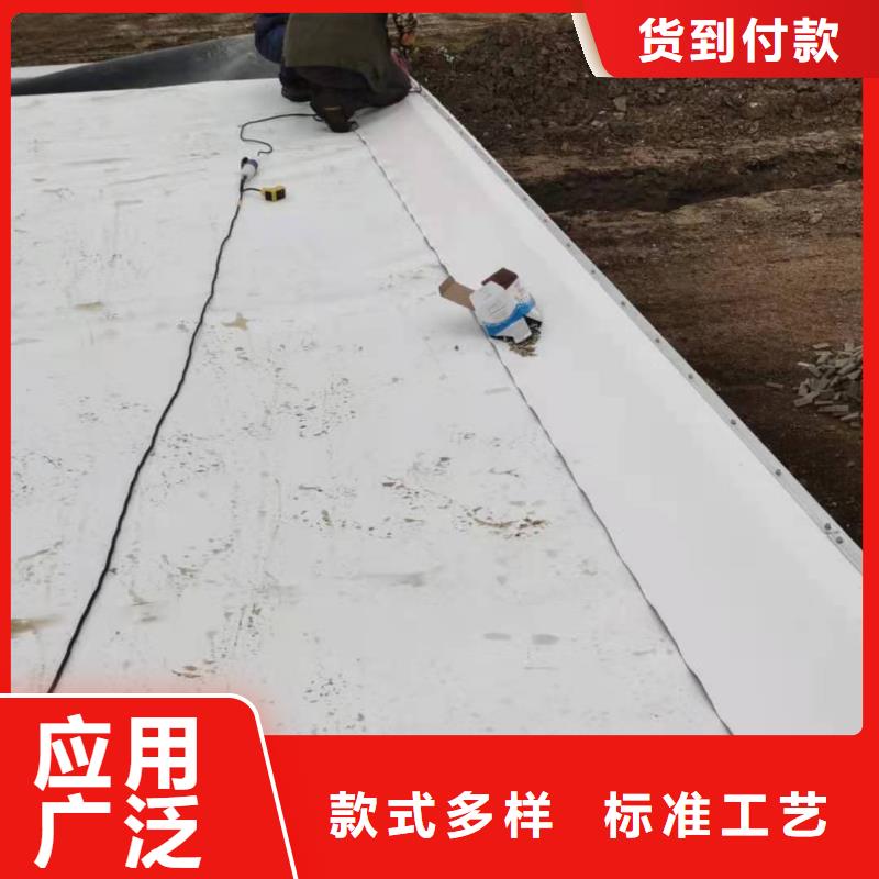 PVC_TPO防水施工隊廠家直營