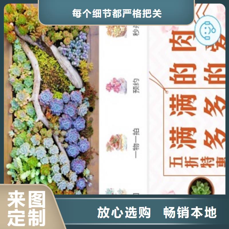 小程序制作APP源碼系統買的放心