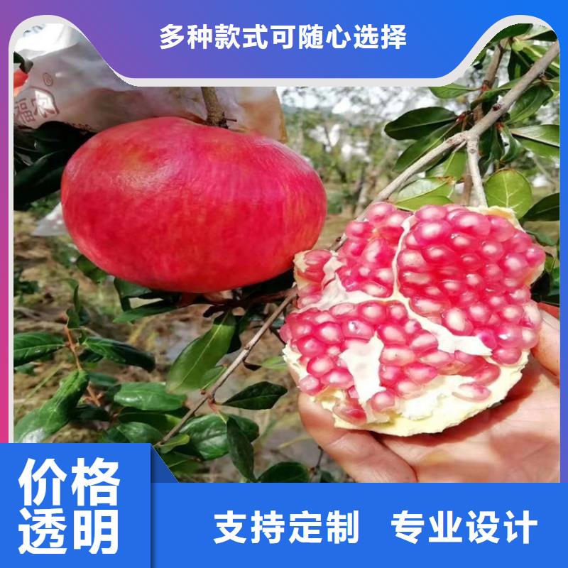 石榴花椒苗實力優品