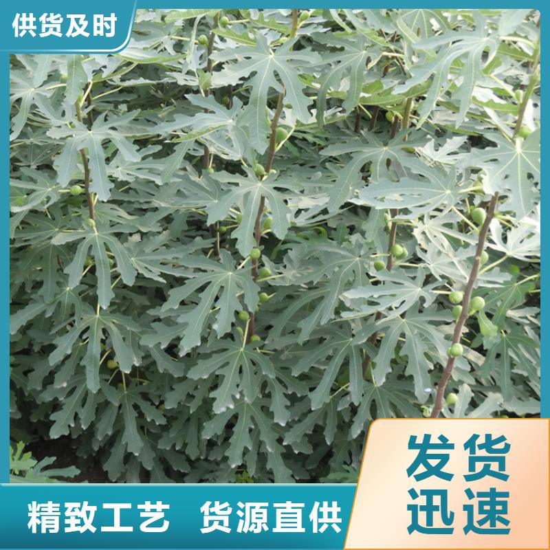 【無花果】奶油草莓嚴格把控每一處細節