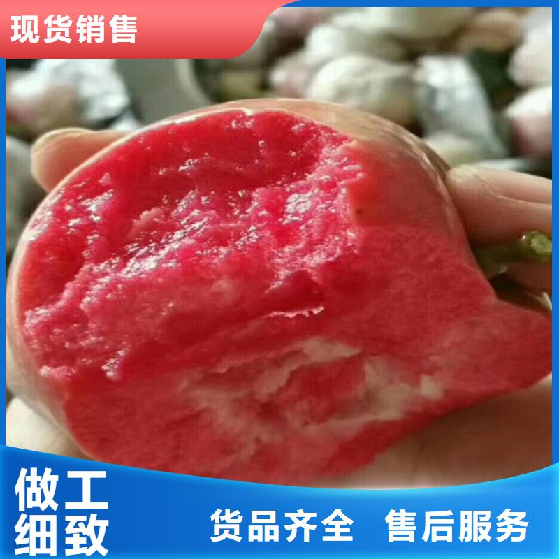 【蘋果】瑪瑙紅石榴苗發貨迅速