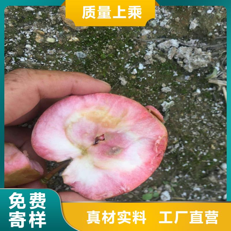 【蘋果】-奶油草莓檢驗發貨