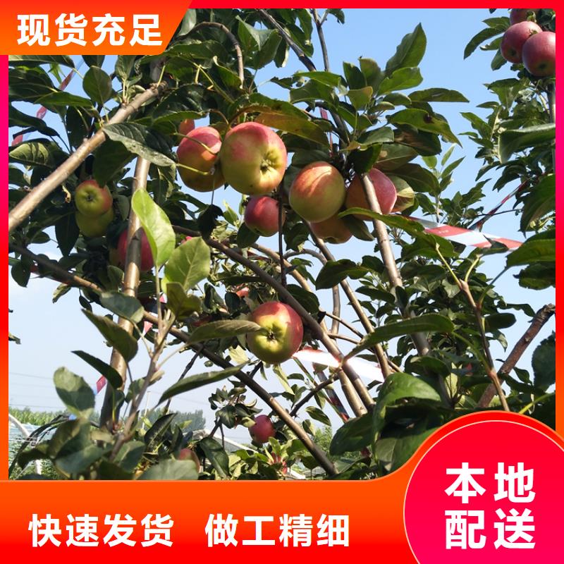 蘋果【藍莓苗】質量檢測