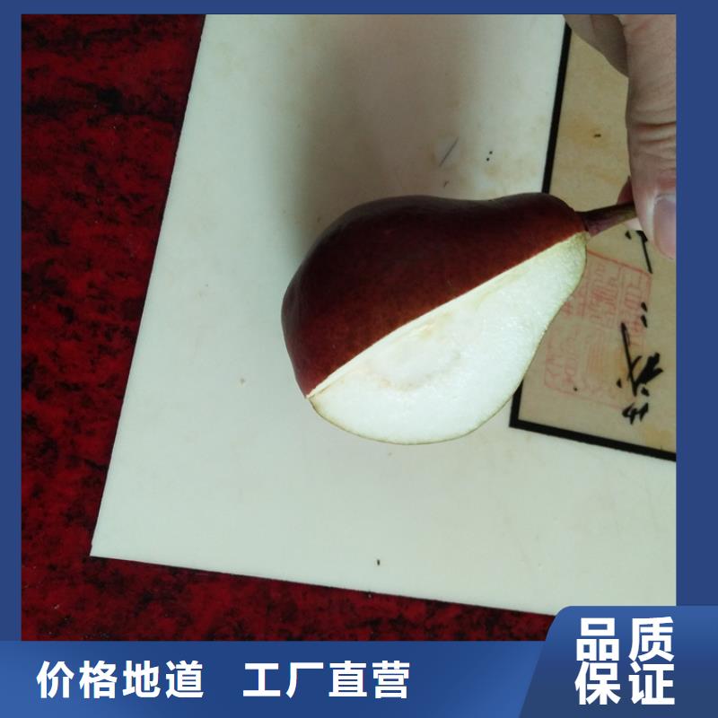 梨樹櫻桃苗用心做產品