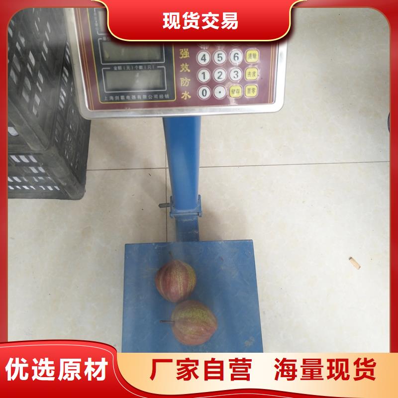 梨樹-桃樹苗價格低