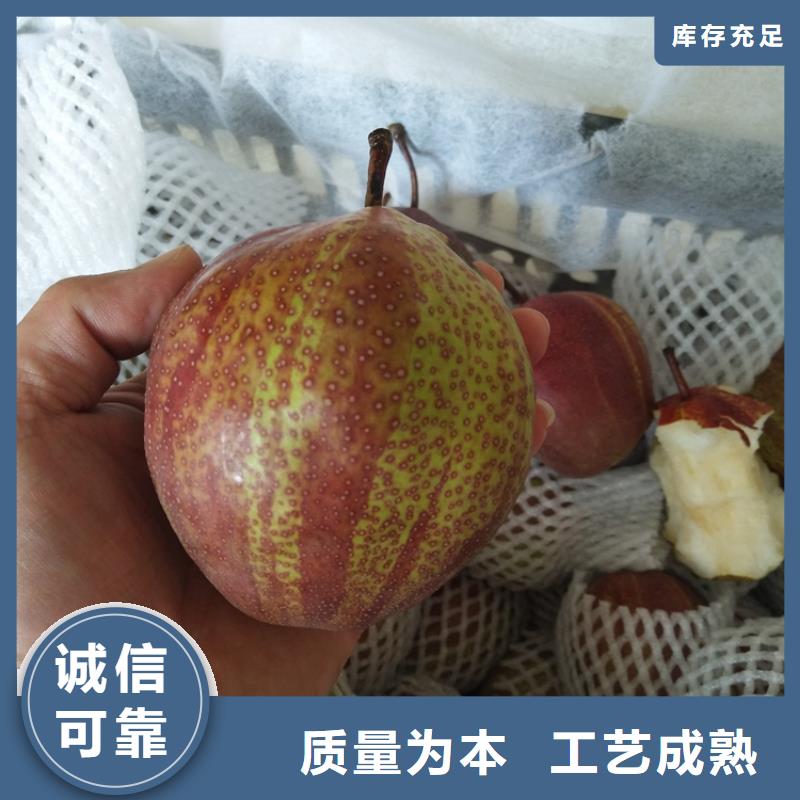 梨樹櫻桃苗用心做產(chǎn)品