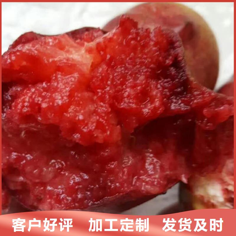 桃,石榴樹(shù)好產(chǎn)品價(jià)格低