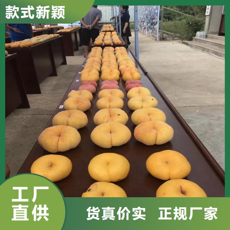 桃【櫻桃苗】嚴格把關質量放心