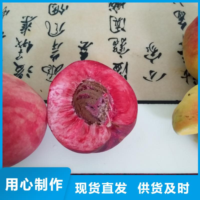 桃嘎啦蘋(píng)果研發(fā)生產(chǎn)銷(xiāo)售