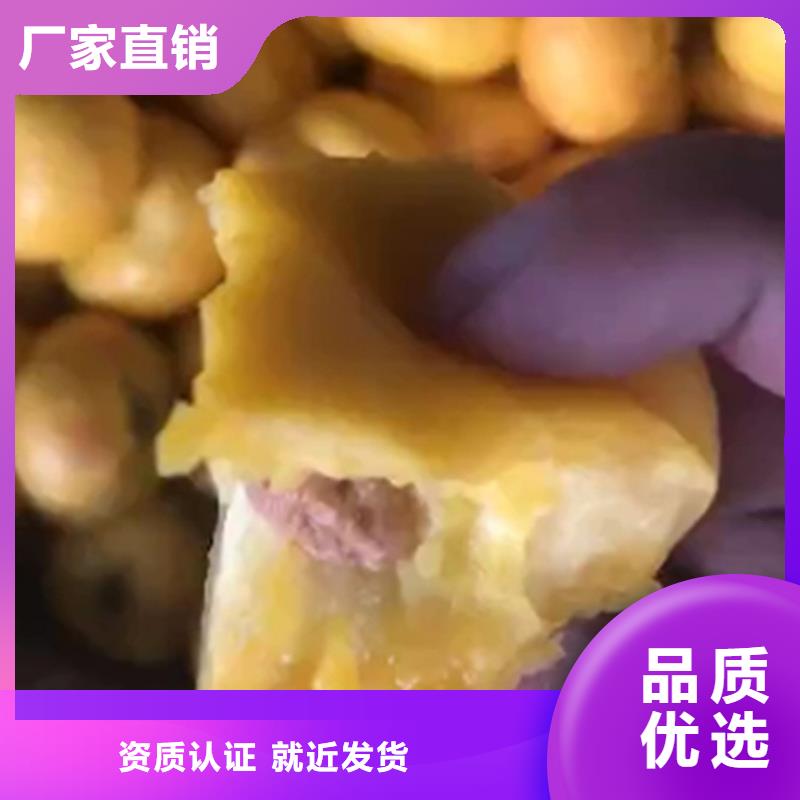 桃【櫻桃苗】嚴格把關質量放心