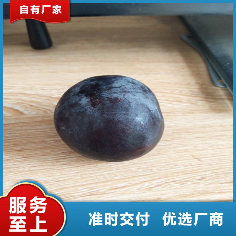 李子櫻桃苗實力才是硬道理