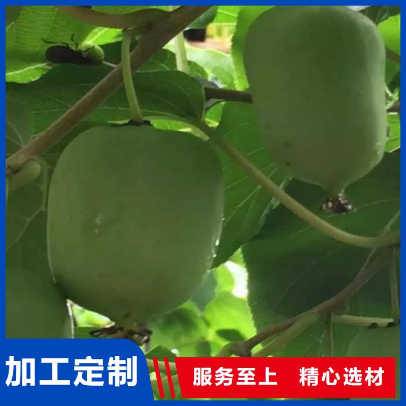 猕猴桃梨树苗买的是放心