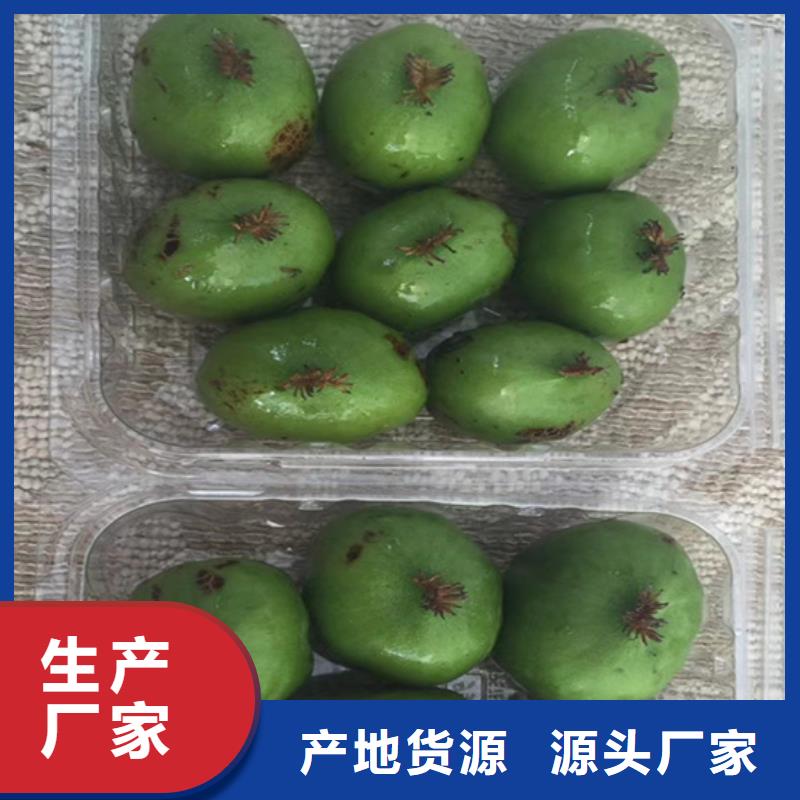 獼猴桃【梨樹(shù)苗】廠家實(shí)力大