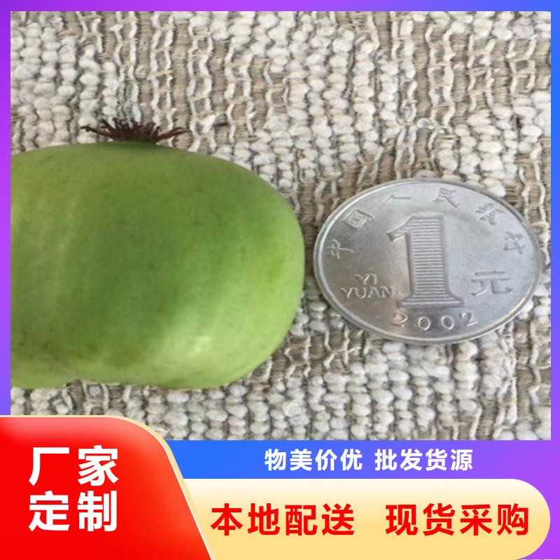 獼猴桃桃樹苗全品類現貨