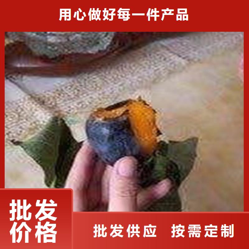 【柿子】櫻桃苗產(chǎn)地采購