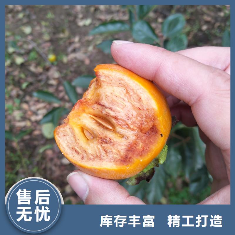 柿子-奶油草莓型号全价格低