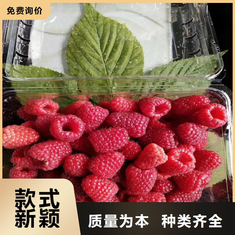 【樹莓】桃樹苗保障產品質量