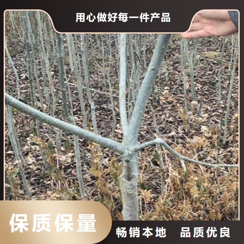 碧根果紅顏草莓隨心所欲定制