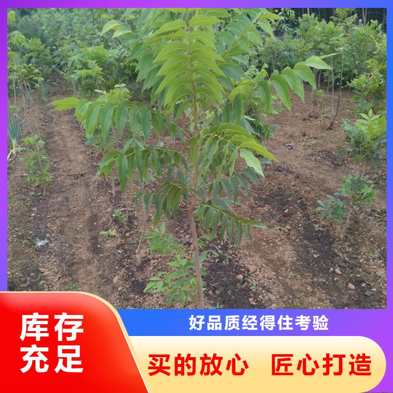 【碧根果】紅顏草莓價格實在