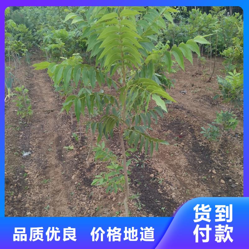 碧根果紅顏草莓隨心所欲定制