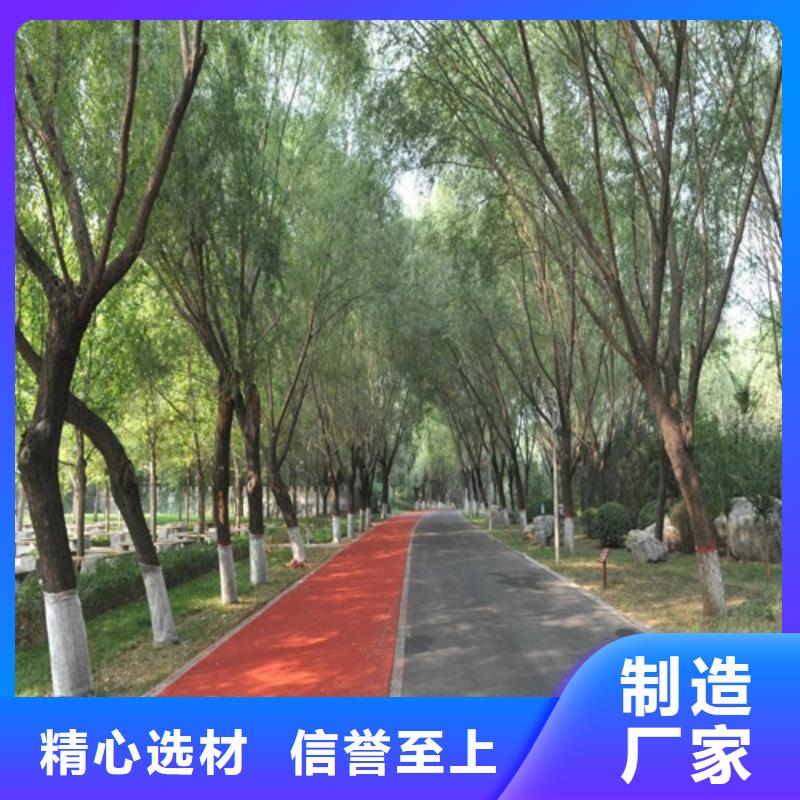 健身步道复合型塑胶跑道优良材质