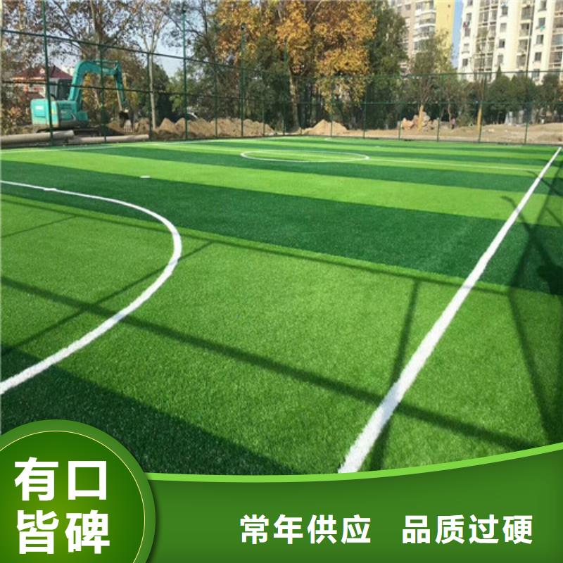 人造草坪_公園步道品質可靠