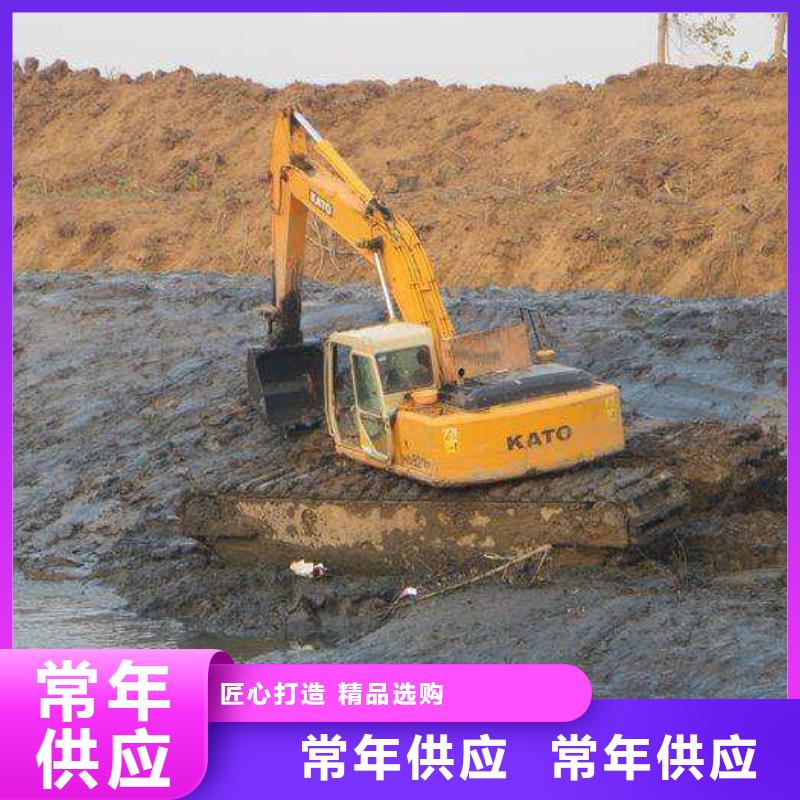 高标准高品质五湖水路两用挖掘机出租租赁种植基地