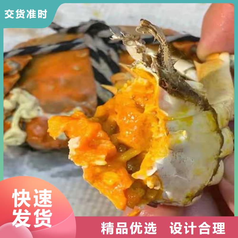 優(yōu)惠的打螃蟹生產(chǎn)廠家