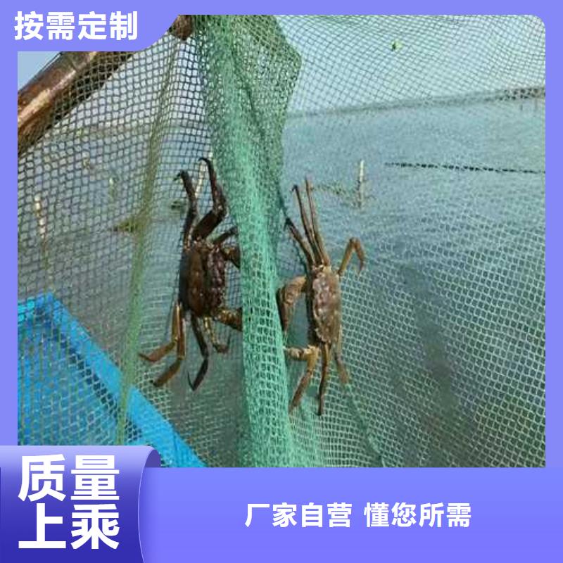 苏州阳澄湖大闸蟹哪家便宜味道好