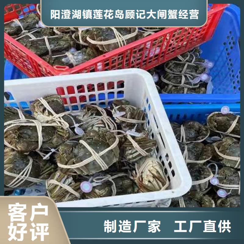 阳澄湖大闸蟹礼品包装盒