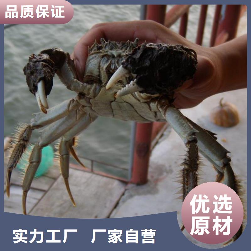 苏州阳澄湖大闸蟹哪家正宗