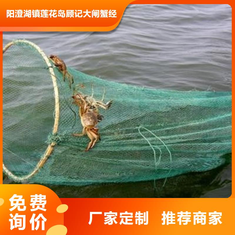 鲜活阳澄湖螃蟹养殖基地联系方式