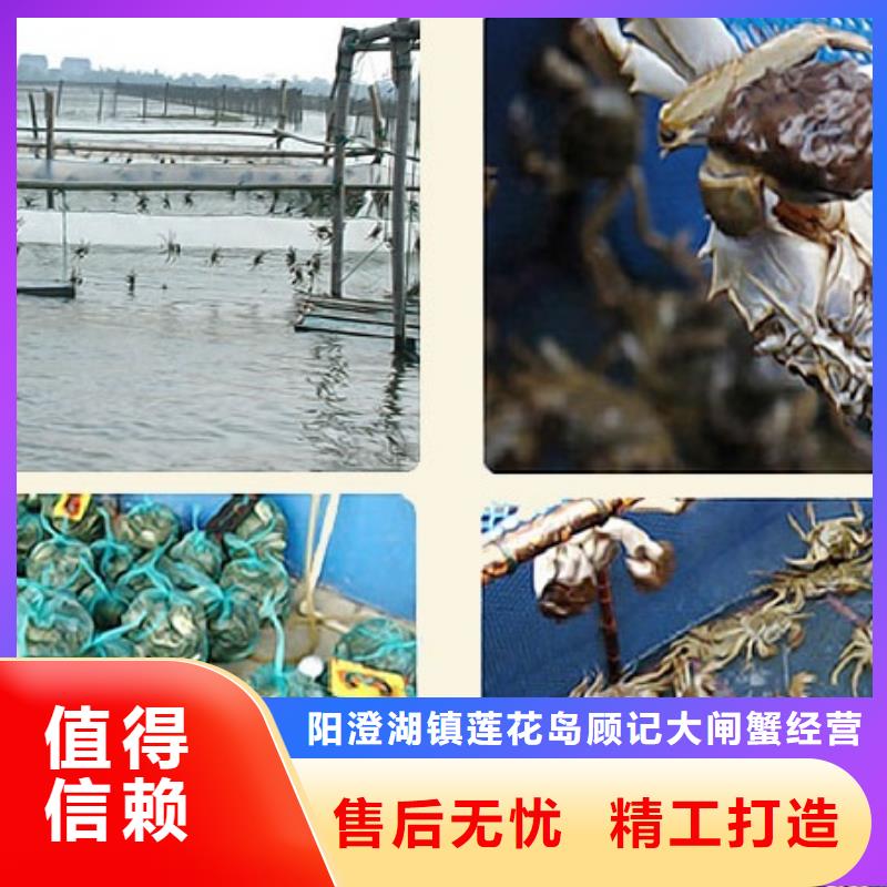 鲜活阳澄湖螃蟹养殖基地联系方式