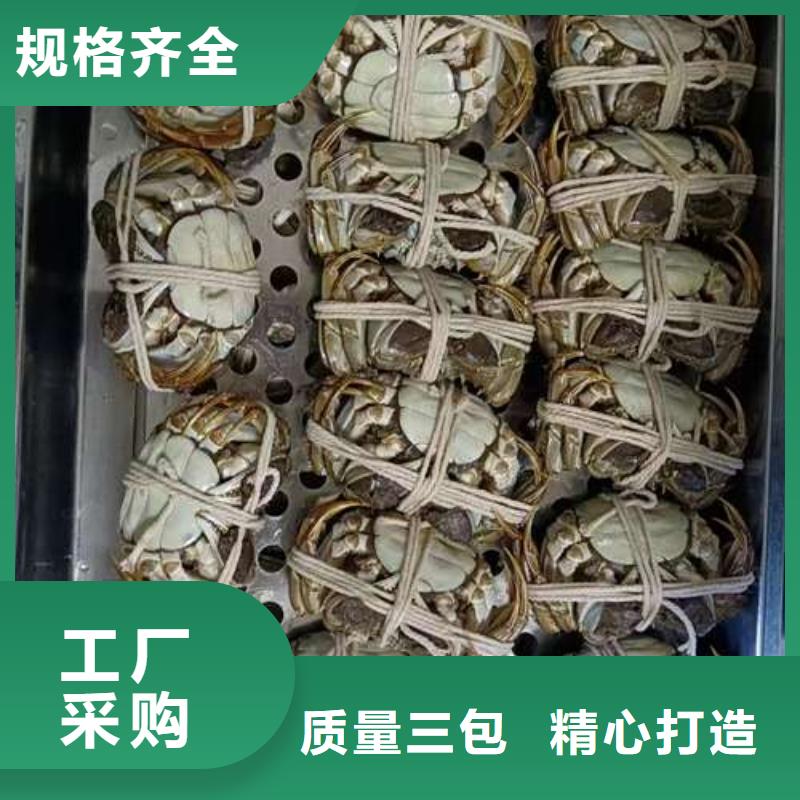 云浮市蟹中一只多少钱