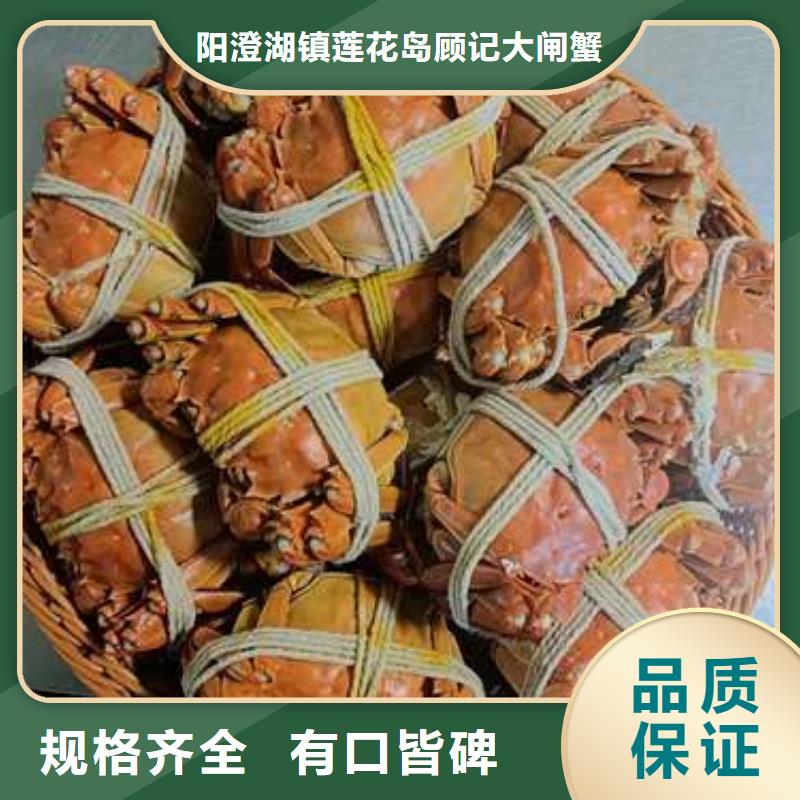 陽澄湖大閘蟹廠家直銷-歡迎新老客戶來電咨詢