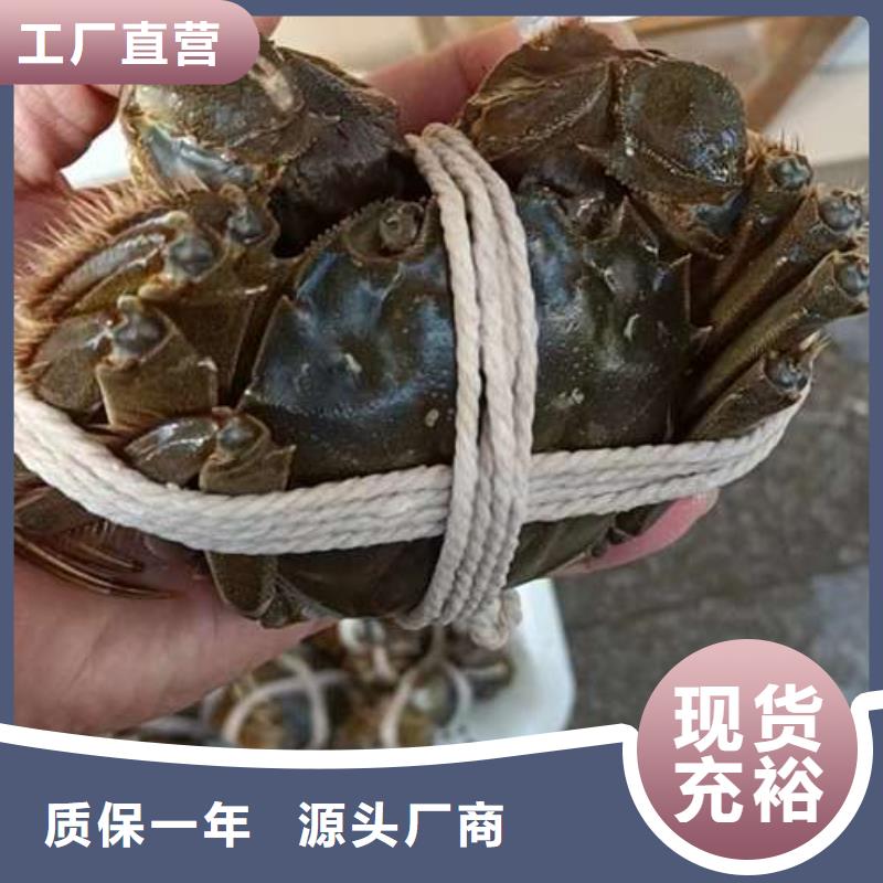 供應陽澄湖大閘蟹的基地