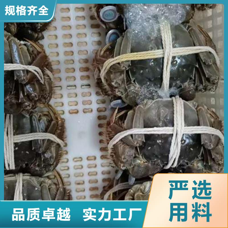 快速高效:陽澄湖大閘蟹廠家