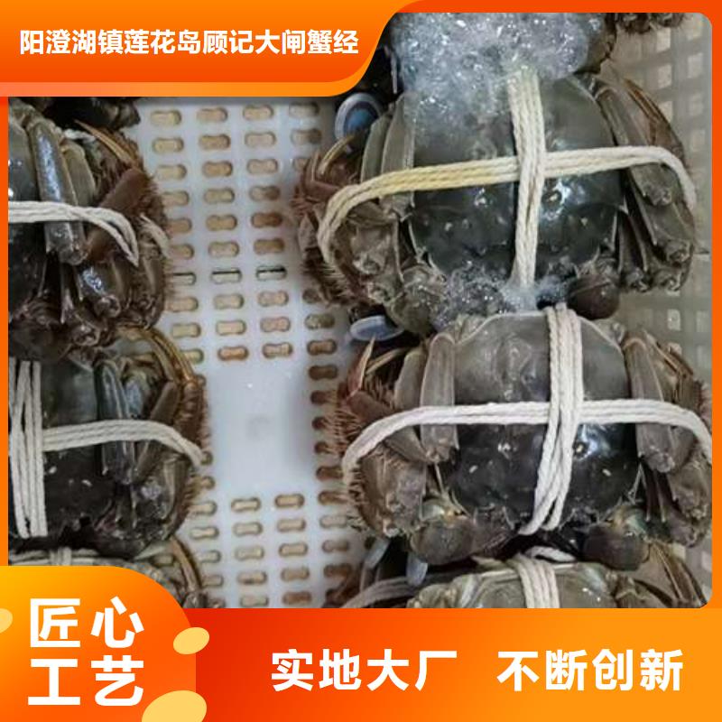 陽澄湖大閘蟹廠家推薦