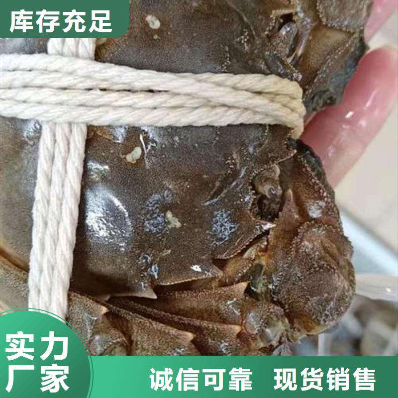 陽澄湖大閘蟹廠家-找陽澄湖鎮蓮花島顧記大閘蟹經營部