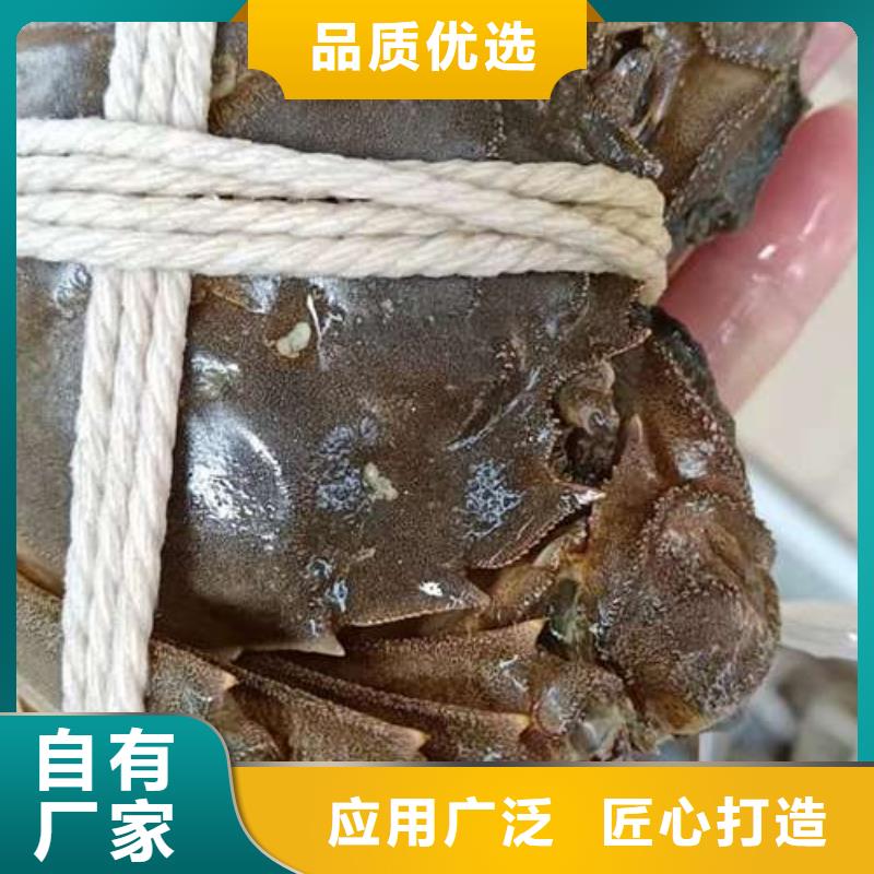 優質的陽澄湖大閘蟹認準陽澄湖鎮蓮花島顧記大閘蟹經營部