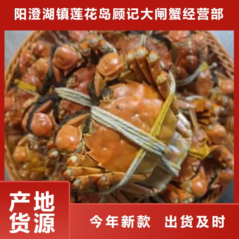 陽澄湖大閘蟹-陽澄湖大閘蟹貨源足