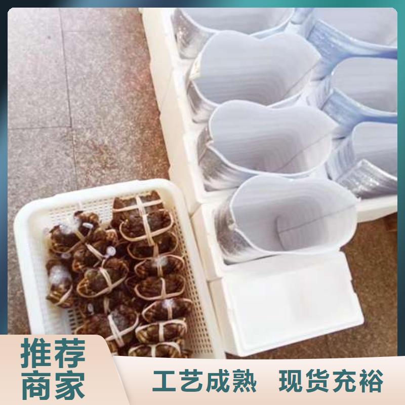 陽澄湖大閘蟹_量身定制