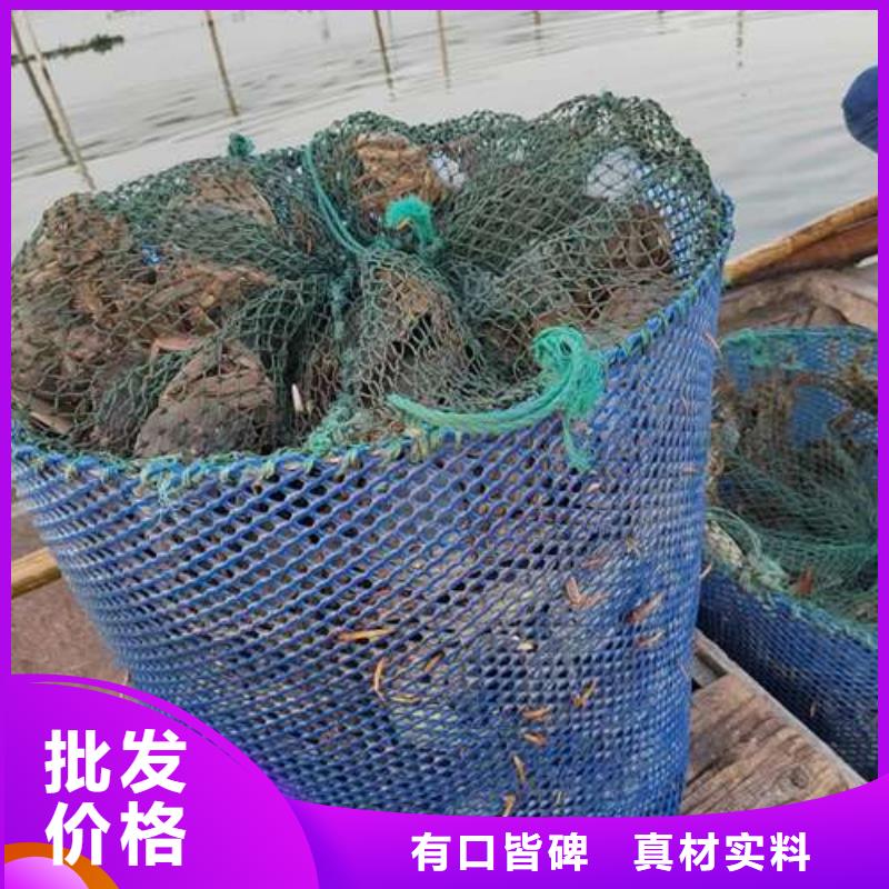 阳澄湖大闸蟹多种规格