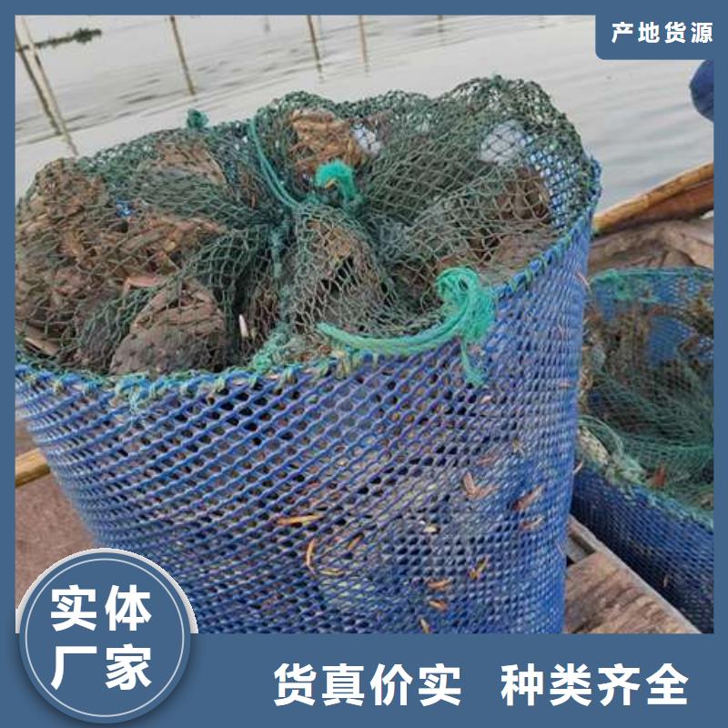 陽澄湖大閘蟹廠家推薦