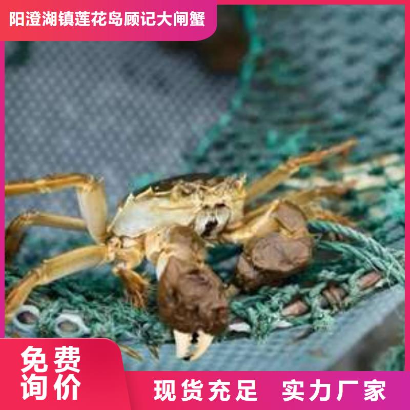 珠海市大螃蟹團購