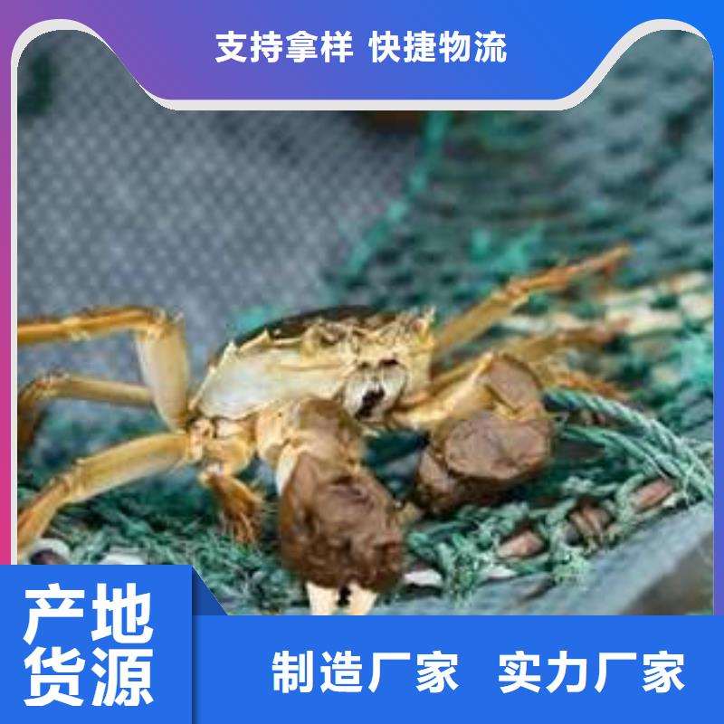 珠海市大閘蟹價格多少錢一斤